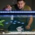 Different Types of Tank Water & Which Is Best for Your Aquarium