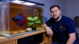 What Is The Best Tank Size For Betta Fish?