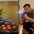 Pearlscale Goldfish 101: The Essential Care Guide