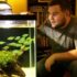 Betta Fish Poop (And Why You Need To Know About It)