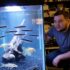 Dropsy In Goldfish (Causes, Symptoms, Treatment  Prevention)