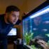 Dwarf Pea Puffer Care: Essential Tips