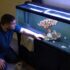 10 Best Floating Aquarium Plants ( How To Care For Them)