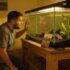 Can You Keep A Betta In A Vase? (How To Make It Work)
