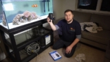 20 Best Aquarium Powerheads for 2026 (Healthy Water Flow)