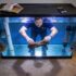 How Long Do Betta Fish Live? Essential Tips to Extend Their Lifespan