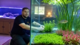 Using Oxygenating Plants in Your Pond
