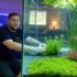 Coral Goldfish Care Guide: Types, Tank Setup & Tips