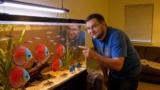 Best Discus Tank Mates: 15 Fish For a Peaceful Aquarium