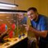 Malaysian Trumpet Snail 101: Detailed Info Care Tips