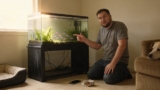 15 Peaceful Community Fish For Your Tank (Updated List)