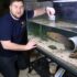 Molly Fish Care: A Complete Guide From Start To Finish