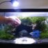 Best Aquarium Gravel For Betta Fish  Our Recommendations