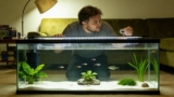 Can You Have a Planted Tank With Sand?