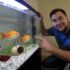 Comet Goldfish: Essential Care and Tank Guide