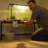 10 Reasons Your Betta Fish Tank Gets Dirty Fast