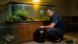 Fluval 407 Canister Filter Review