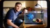 How Long Do Betta Fish Live? Essential Tips to Extend Their Lifespan