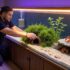 How to Culture Phytoplankton, Rotifers and Copepods at Home