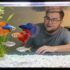 Arrow Crab 101: Diet, Mates, Breeding & Behavior