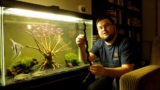 Best Driftwood For Aquariums: Top Picks for Quality, Style, and Affordability