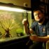 Dragon Fish Goby Care 101 (aka Violet Goby)