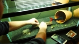 Red Tail Shark: Essential Care and Compatibility Tips