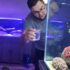 Seahorse Care Guide: Essential Tips for Healthy Seahorses