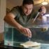 7 Reasons Your Guppy Is Dying 5 Common Symptoms