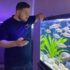 Molly Fish Breeding Guide: Care, Setup & Fry Tips