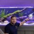 Best Aquarium Plant Fertilizers for 2024