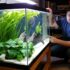 Best Food For Betta Fish (Ultimate Betta Fish Food Guide)