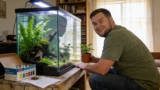 How to Build an Eco-Friendly Fish Tank That Practically Runs Itself