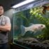 What To Do With Freshwater Snail Eggs In Your Aquarium