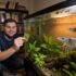 Diamond Tetra 101: Care, Tank Mates, Size More!