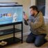 Lucky Bamboo Thrives in Aquariums, Expert Guide