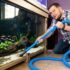 Aquarium pH Meters: Accurate Testing Guide, Reviews