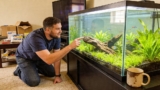 The Best Snail-Eating Fish For Your Aquarium