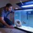 Do Bettas Need Air Pumps? ( When They’re Important)