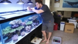 Coral Fragging Guide: All About Soft And Stony SPS  LPS