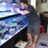 How To Care For Guppy Fry (Insane Survival Rate)