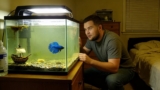 Why Did My Betta Fish Die Suddenly? (23 Common Reasons!)