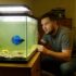 X‑Ray Tetra: Brilliant Care Guide