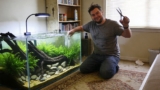 Building Aquatic Beauty: How Aquascape Contractors Help Create Sustainable Aquarium Designs