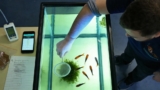 Swordtail Secrets: Care, Size, Lifespan, Breeding