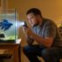 Betta Plaque: Essential Care and Tank Secrets