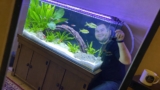 15 Types of Tetra Fish: Care, Tank Setup & Compatibility Tips