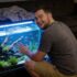 Betta Fish Sorority Tank  Setup, Care, Caution  Maintenance