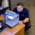 Betta Temperature Shock Symptoms And Treatment