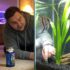 Rocks For Aquariums: Best Types for Tank Decoration
